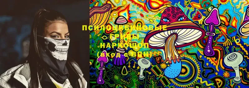 Галлюциногенные грибы MAGIC MUSHROOMS  Зерноград 