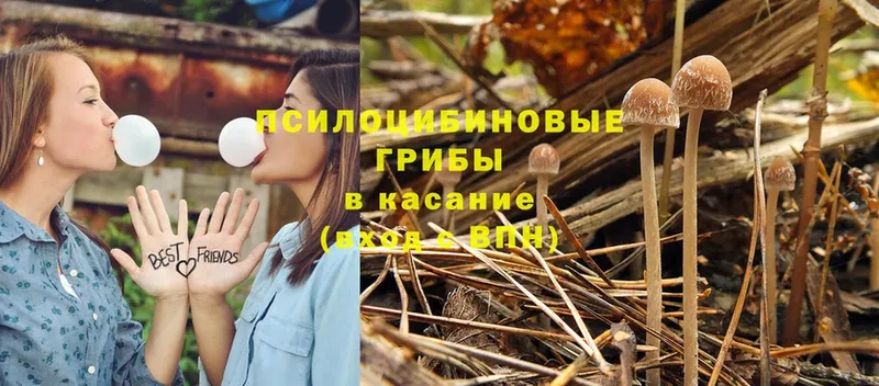 Псилоцибиновые грибы GOLDEN TEACHER Зерноград